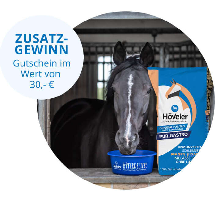 teaser hoeveler gewinnspiel zusatzgewinn